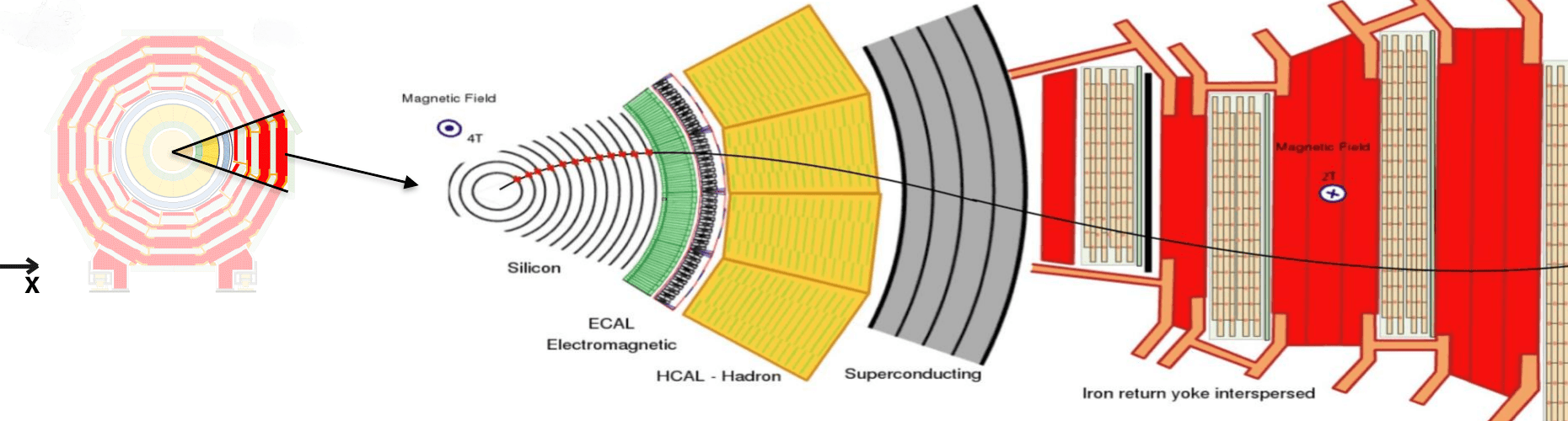 A slice through CMS. From the centre: the silicon tracker, then the electromagnetic and hadron calorimeters, the magnet, and the iron yoke. A track crosses the silicon.
